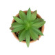 GloboStar® Artificial Garden SUCCULENT ALOE POTTED PLANT 21040 Διακοσμητικό Φυτό Αλόη Φ9 x Υ14cm