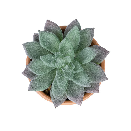 GloboStar® Artificial Garden SUCCULENT SEDEVERIA POTTED PLANT 21041 Διακοσμητικό Φυτό Σεδεβέρια  Φ11x Υ14cm