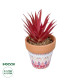 GloboStar® Artificial Garden AIR PLANT NEOPHYTUM POTTED PLANT 21042 Διακοσμητικό Φυτό Νεόφυτο Φ12 x Υ15cm