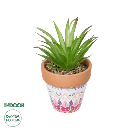 GloboStar® Artificial Garden AIR PLANT NEOPHYTUM POTTED PLANT 21043 Διακοσμητικό Φυτό Νεόφυτο Φ12 x Υ15cm