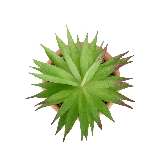 GloboStar® Artificial Garden AIR PLANT NEOPHYTUM POTTED PLANT 21043 Διακοσμητικό Φυτό Νεόφυτο Φ12 x Υ15cm