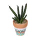 GloboStar® Artificial Garden SUCCULENT EUPHORBIA POTTED PLANT 21045 Διακοσμητικό Φυτό Ευφορβία Φ11 x Υ19cm