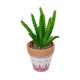 GloboStar® Artificial Garden SUCCULENT EUPHORBIA POTTED PLANT 21052 Διακοσμητικό Φυτό Ευφορβία Φ18 x Υ23cm