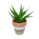 GloboStar® Artificial Garden SUCCULENT ALOE POTTED PLANT 21054 Διακοσμητικό Φυτό Αλόη  Φ15 x Υ19cm