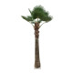 GloboStar® Artificial Garden PLANT PALM TREE 21055 Διακοσμητικό Δέντρο Φοίνικα  Φ240 x Υ400cm