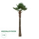 GloboStar® Artificial Garden PLANT PALM TREE 21056 Διακοσμητικό Δέντρο Φοίνικα  Φ240 x Υ500cm