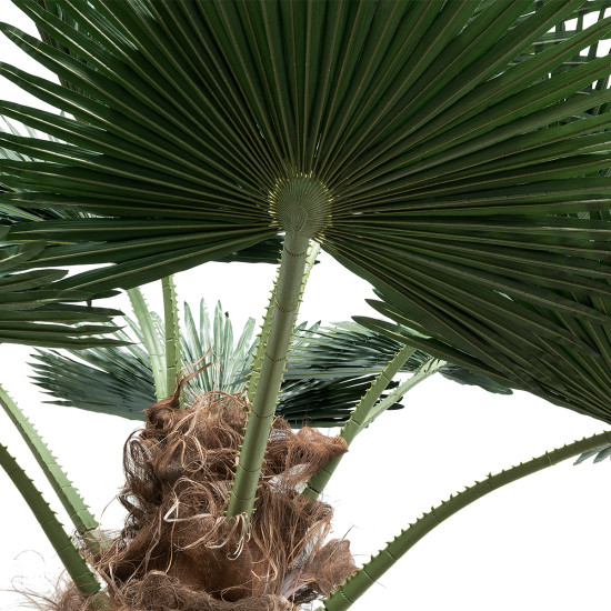 GloboStar® Artificial Garden PLANT PALM TREE 21056 Διακοσμητικό Δέντρο Φοίνικα  Φ240 x Υ500cm