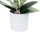 GloboStar® Artificial Garden WHITE ORCHID 21076 Διακοσμητικό Φυτό Λευκή Ορχιδέα Υ45cm