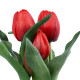 GloboStar® Artificial Garden RED TULIP 21094 Διακοσμητικό Φυτό Κόκκινη Τουλίπα Υ23cm