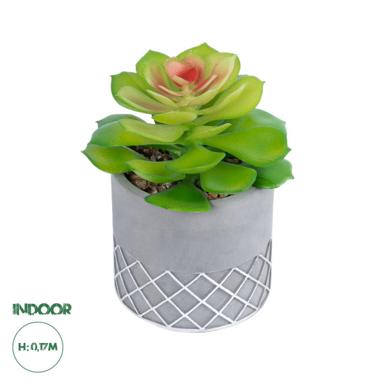 GloboStar® Artificial Garden SUCCULENT SEDEVERIA 21095 Διακοσμητικό Φυτό Παχύφυτο Σεντεβέρια Υ17cm