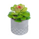 GloboStar® Artificial Garden SUCCULENT SEDEVERIA 21095 Διακοσμητικό Φυτό Παχύφυτο Σεντεβέρια Υ17cm