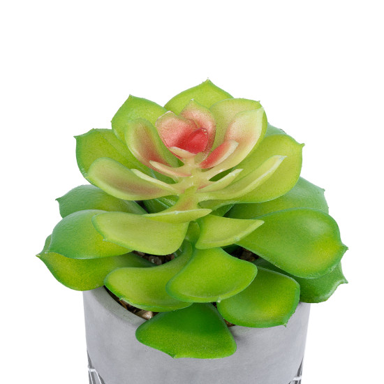 GloboStar® Artificial Garden SUCCULENT SEDEVERIA 21095 Διακοσμητικό Φυτό Παχύφυτο Σεντεβέρια Υ17cm