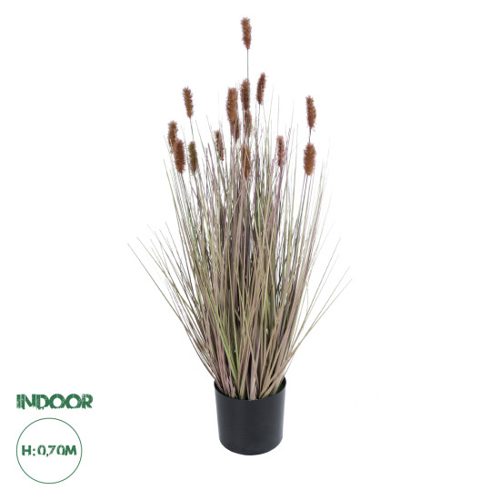 GloboStar® Artificial Garden BROWN LAGURUS 21099 Διακοσμητικό Φυτό Καφέ Λαγοουρά Υ70cm