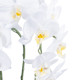 GloboStar® Artificial Garden WHITE ORCHID 21117 Διακοσμητικό Φυτό Λευκή Ορχιδέα Υ45cm