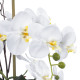 GloboStar® Artificial Garden WHITE ORCHID 21120 Διακοσμητικό Φυτό Λευκή Ορχιδέα Υ43cm