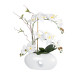 GloboStar® Artificial Garden WHITE ORCHID 21125 Διακοσμητικό Φυτό Λευκή Ορχιδέα Υ42cm