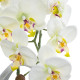 GloboStar® Artificial Garden WHITE ORCHID 21128 Διακοσμητικό Φυτό Λευκή Ορχιδέα Υ39cm