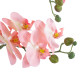 GloboStar® Artificial Garden SALMON PINK ORCHID 21129 Διακοσμητικό Φυτό Φούξια Ορχιδέα Υ43cm