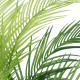 GloboStar® Artificial Garden PALM TREE 21154 Διακοσμητικό Φυτό Φοίνικας Υ120cm