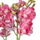 GloboStar® Artificial Garden PINK CHERRY CYMBIDIUM 21402 Διακοσμητικό Φυτό Φούξια Κυμβίδιο Υ60cm