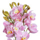 GloboStar® Artificial Garden PALE PINK CHERRY CYMBIDIUM 21403 Διακοσμητικό Φυτό Ροζ Κυμβίδιο Υ60cm