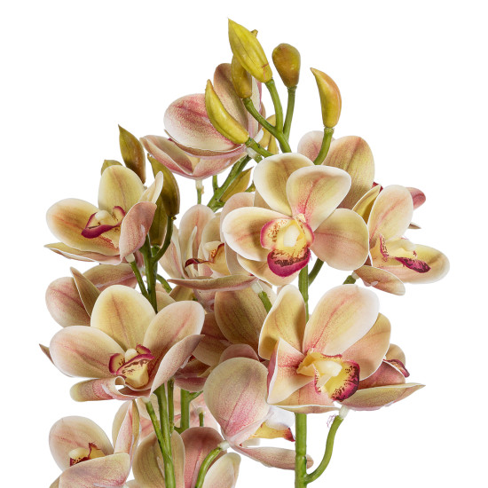 GloboStar® Artificial Garden CHAMPAGNE CHERRY CYMBIDIUM 21404 Διακοσμητικό Φυτό Σαμπανιζέ Κυμβίδιο Υ60cm