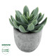 GloboStar® Artificial Garden SUCCULENT SEDEVERIA 21025 Διακοσμητικό Φυτό Παχύφυτο Σεντεβέρια Υ10.5cm