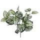 GloboStar® POLKA DOT PLANT 78259 Τεχνητό Φυτό Πόλκα - Μπουκέτο Διακοσμητικών Φυτών - Κλαδιών με Φύλλωμα Πράσινο - Λευκό Υ33cm