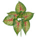 GloboStar® CALADIUM 78271 Τεχνητό Φυτό Καλάδιο - Μπουκέτο Διακοσμητικών Φυτών - Κλαδιών με Φύλλωμα Πράσινο - Κόκκινο - Κίτρινο Υ28cm