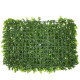 GloboStar® 78420 Artificial - Συνθετικό Τεχνητό Διακοσμητικό Πάνελ Φυλλωσιάς - Κάθετος Κήπος Καυκάσιο Πυξάρι - Λέιλαντ - Γρασίδι Πράσινο Μ60 x Υ40 x Π10cm