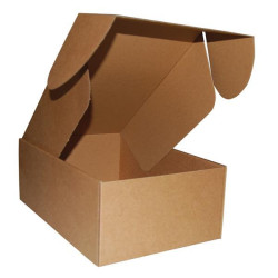 Next κουτί μεταφοράς, 20,5x32,5x11,5εκ. ύψος (παπουτσιών με τρύπα)