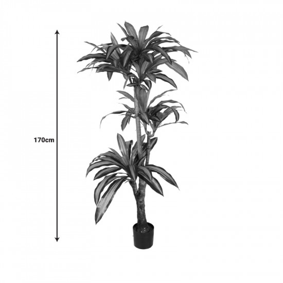 Διακοσμητικό φυτό Dracaena I σε γλάστρα Inart  πράσινο pp Υ170εκ