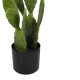 Διακοσμητικό φυτό Cactus σε γλάστρα Inart πράσινο pp Υ64εκ