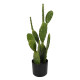 Διακοσμητικό φυτό Cactus σε γλάστρα Inart πράσινο pp Υ64εκ