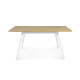 Ξύλινο Επεκτεινόμενο Τραπέζι 120/160 x 80 x 74 cm Idomya 30080279