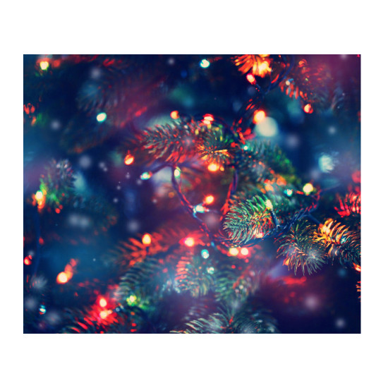 Χριστουγεννιάτικα Πολύχρωμα Λαμπάκια LED Μπαταρίας 50 τμχ Idomya 40004174