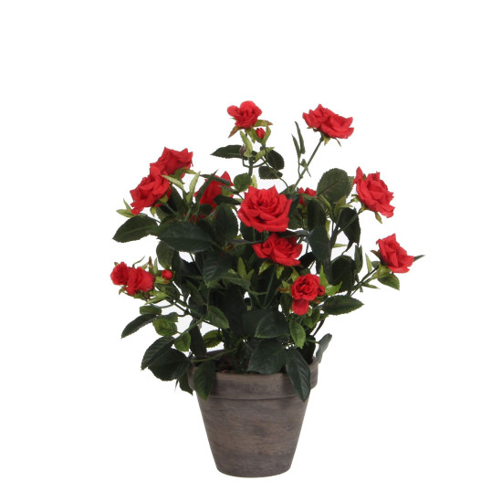 Supergreens Τεχνητό Φυτό Τριανταφυλλιά Κόκκινο 33 εκ.