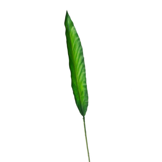Supergreens Τεχνητό Φύλλο Πουλί του Παραδείσου Πράσινο 73 εκ.